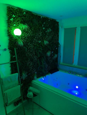 L'extasia appartement,spa jacuzzi Grenoble Grenoble